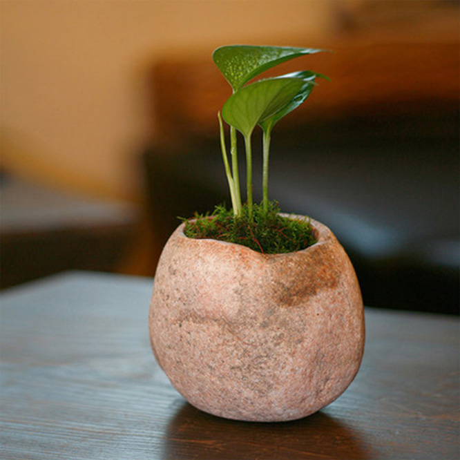 https://www.magicstonegarden.com/uploads/0801-0150-Wholesale-Mini-Rock-Stone-Planter-Pot-Table-Decor.jpg
