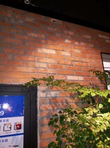 Application of Red Bricks - Magic Stone (2)